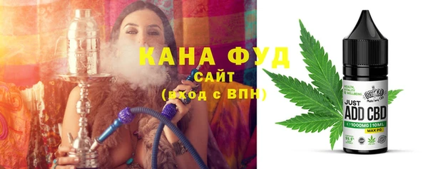 индика Абаза