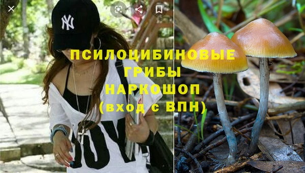 ECSTASY Майский