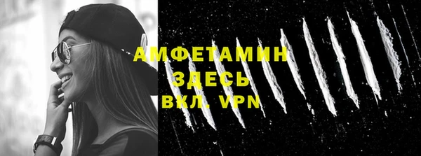 индика Абаза