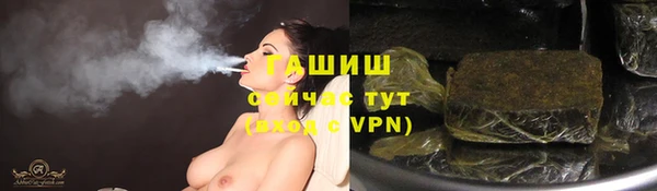 индика Абаза