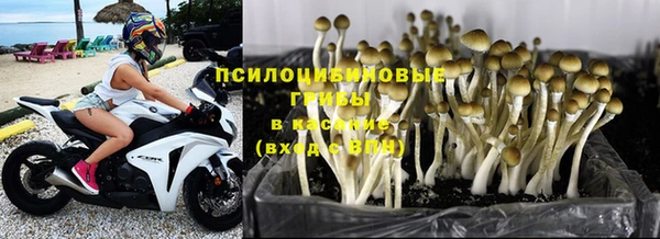 прущая мука Абинск