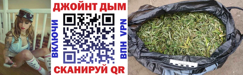 Конопля сатива  Елизаветинская 